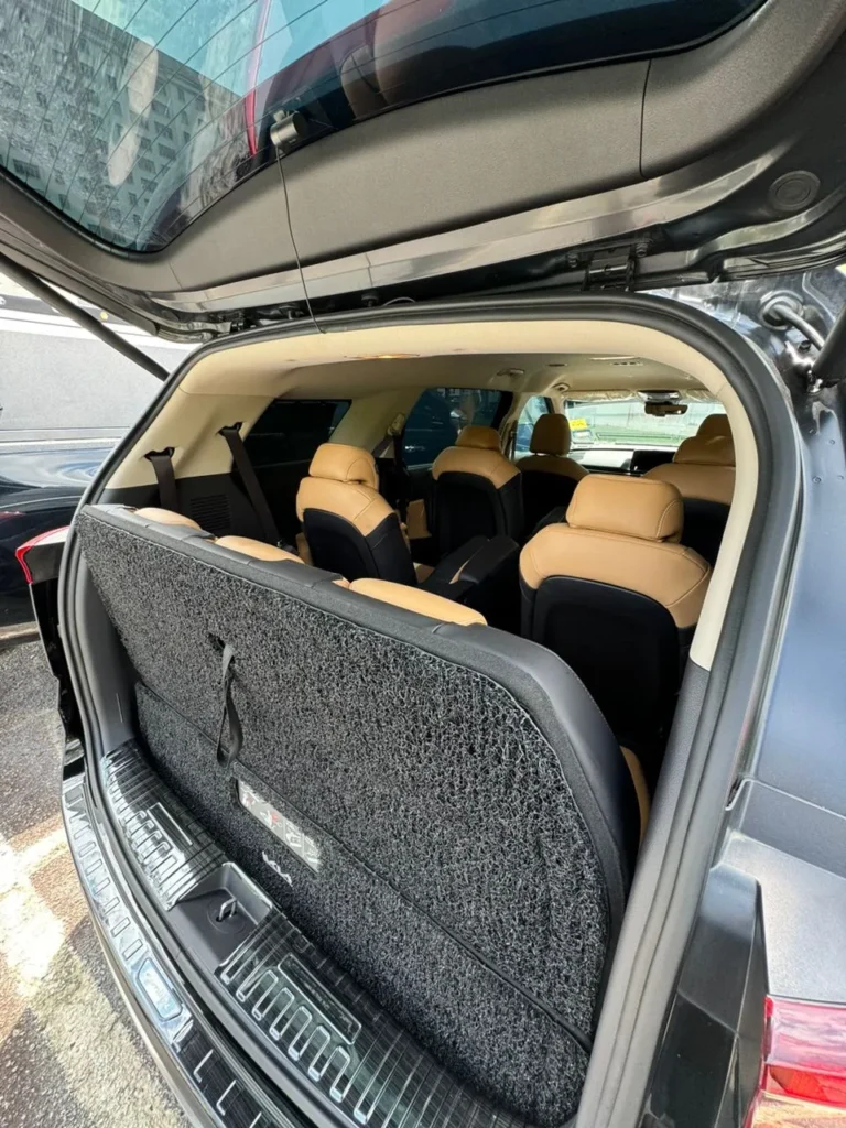 Kia Carnival For Rent 67